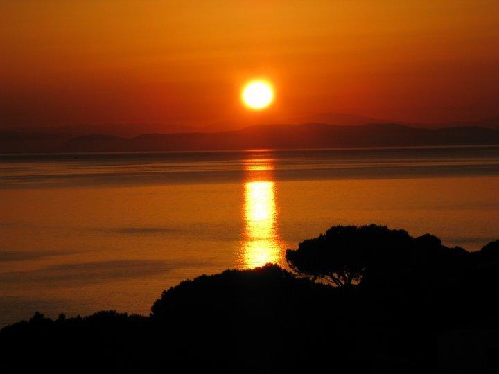 B & B Summer Marciana  Buitenkant foto