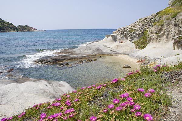 B & B Summer Marciana  Buitenkant foto